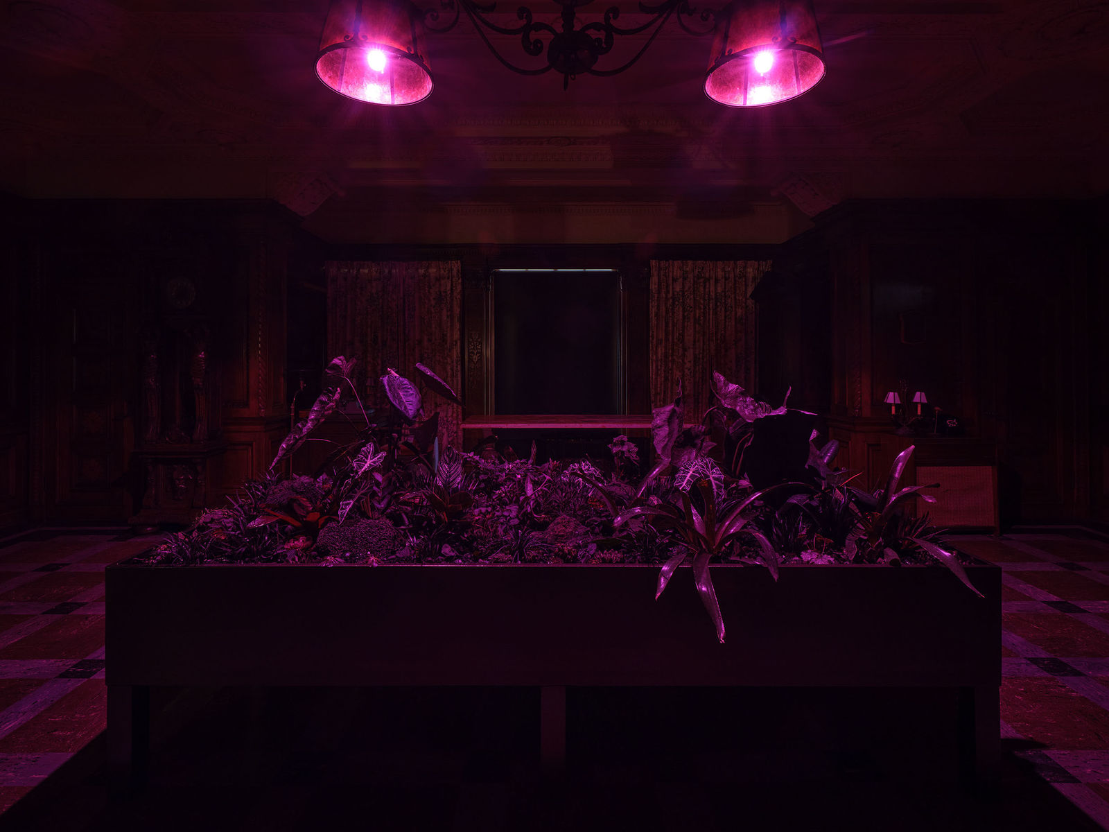 Max Hooper Schneider, Erotic Wellspring Within the Void (Black Plant Garden), 2024