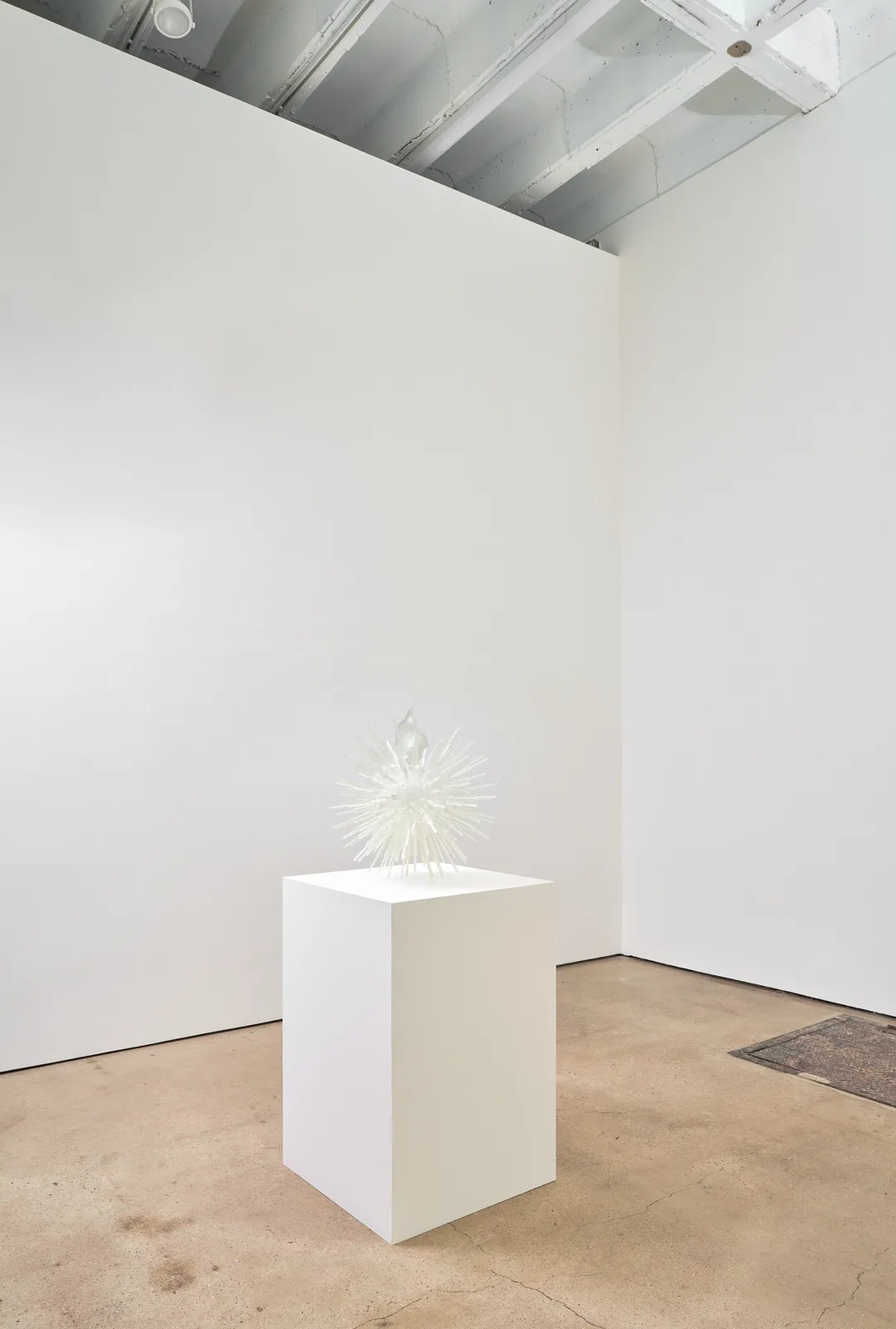 Jeffrey Meris, lambi, 2026