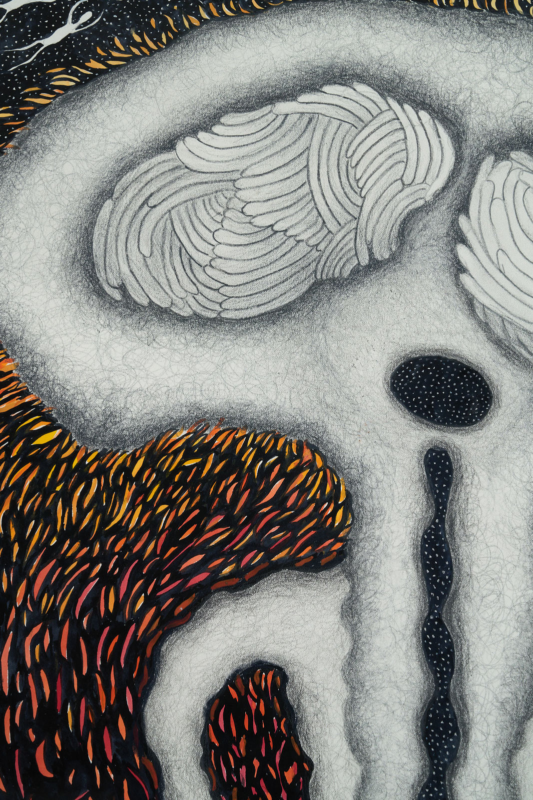 Ann Leda Shapiro, Split, 2018