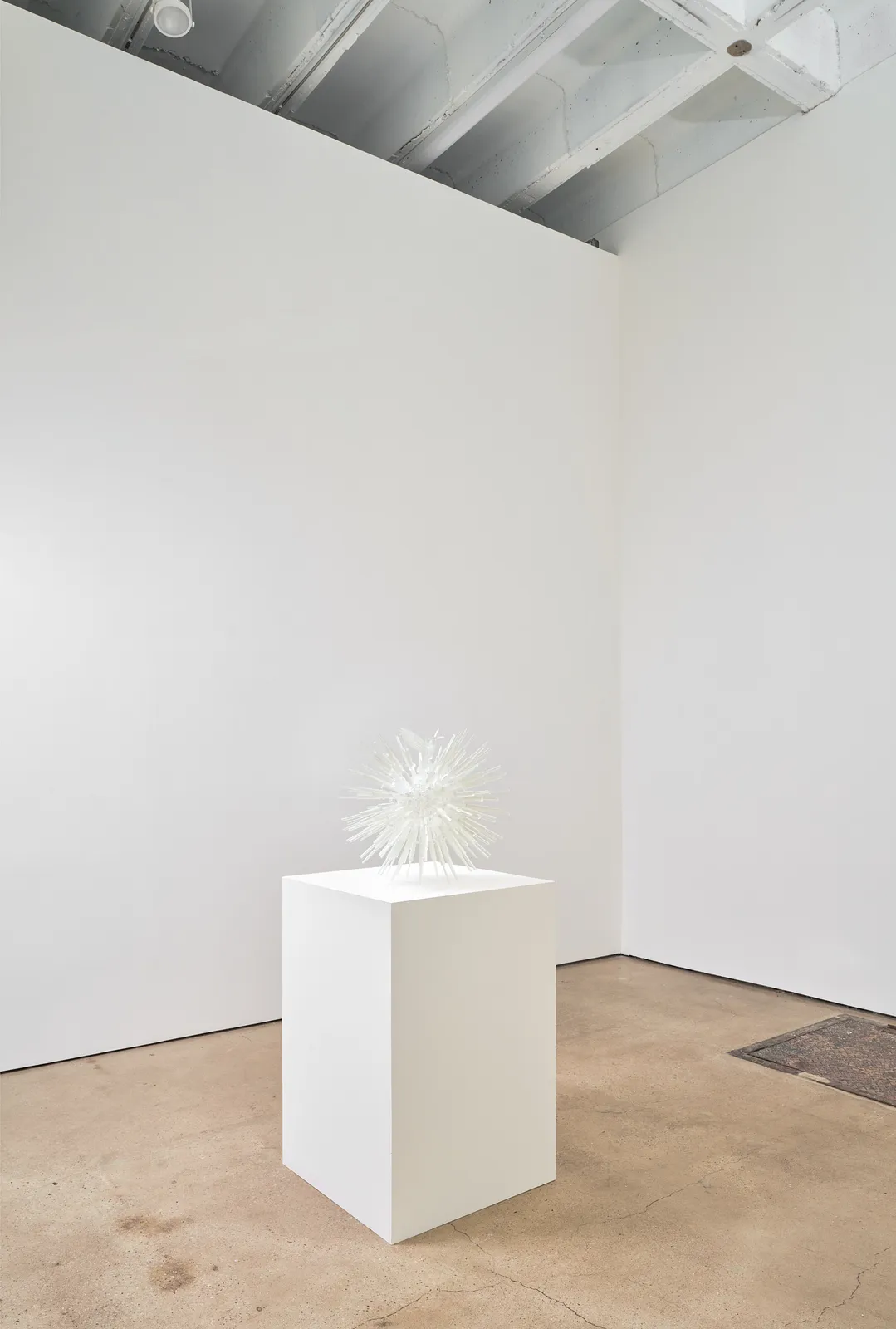 Jeffrey Meris, ti Zwazo, 2026