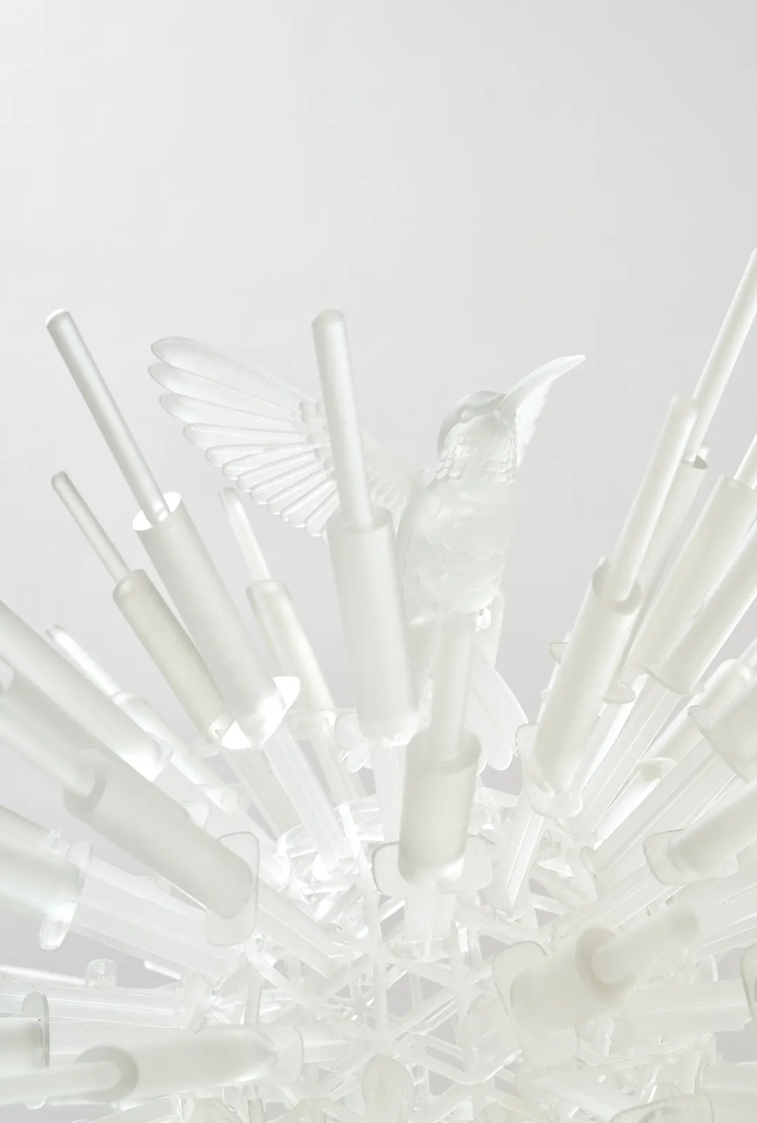 Jeffrey Meris, ti Zwazo, 2026