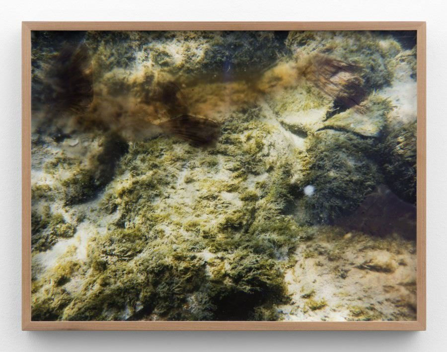 Marina Pinsky, Rhine Riverbed 8, 2015