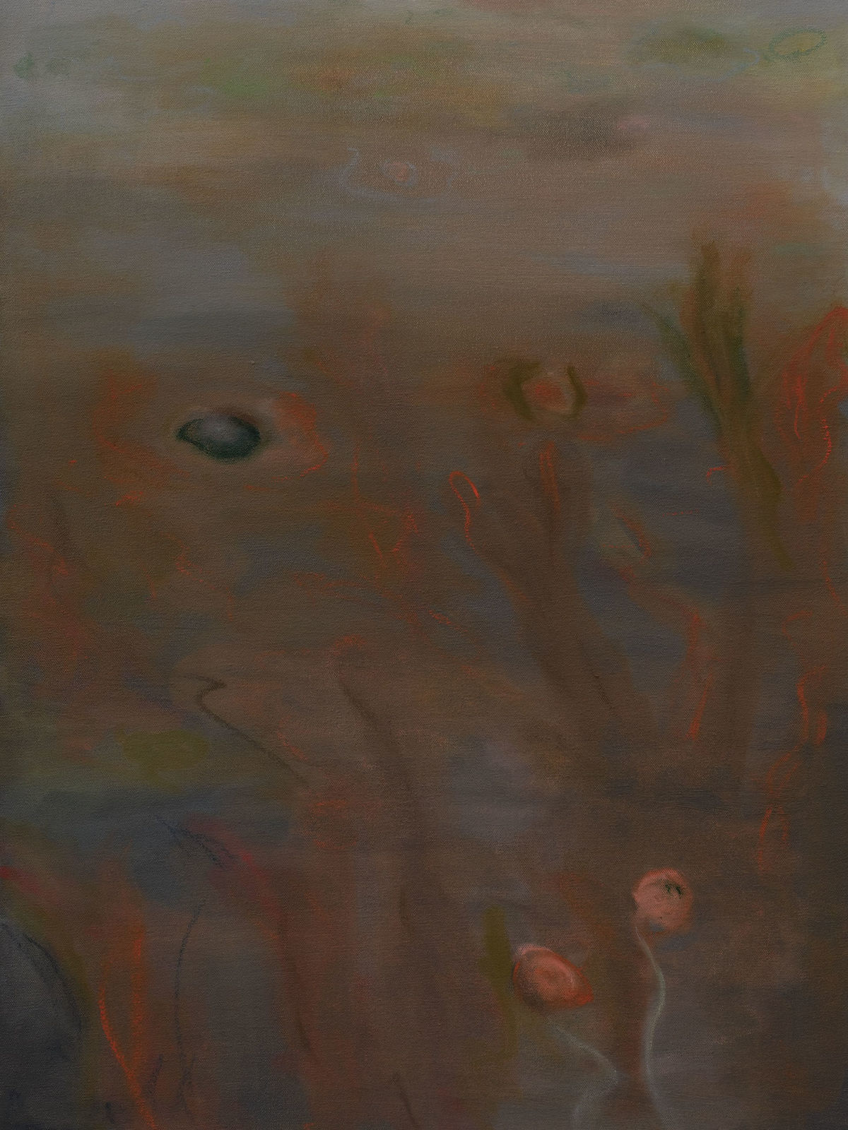 Ash Roberts, Coralline, 2025