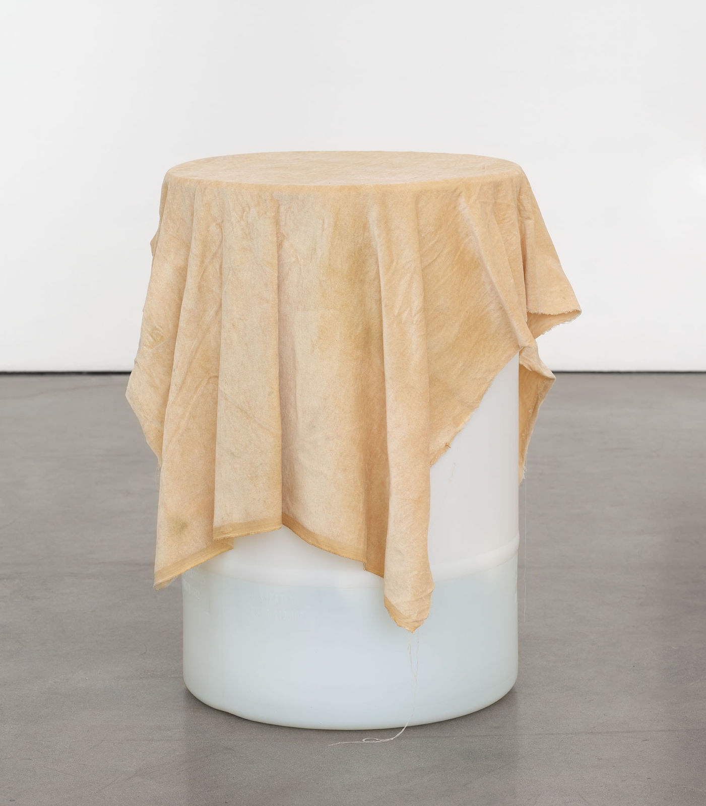 Quay Quinn Wolf, It didn't matter how much I cleaned or how often I refreshed the flowers, 2025