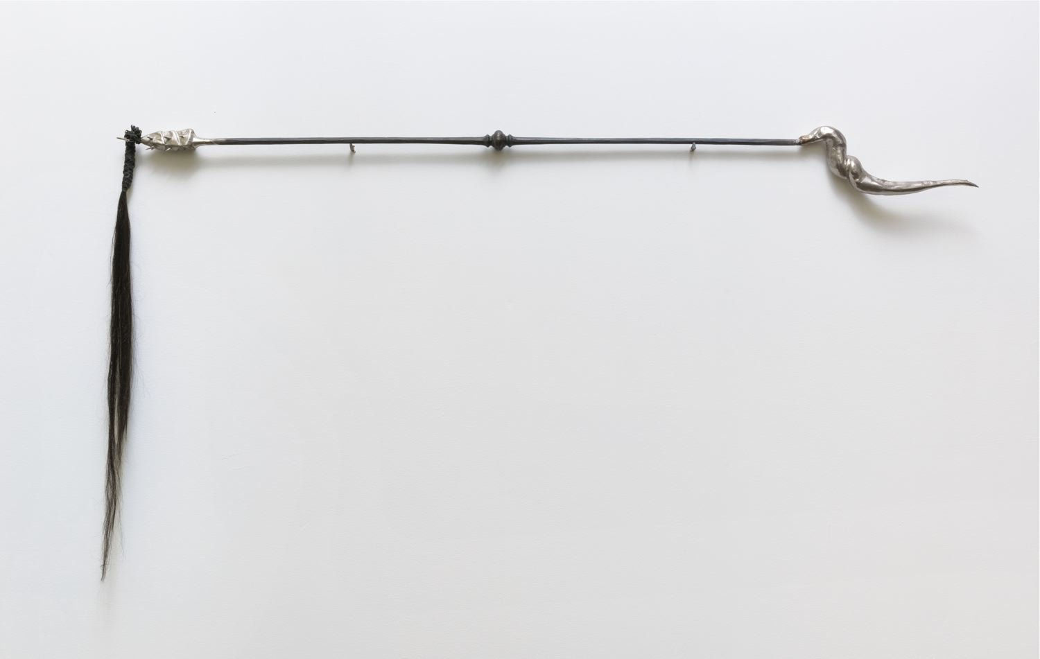 Candice Lin, Coevolution by Traumatic Insemination: Coridromius, 2015