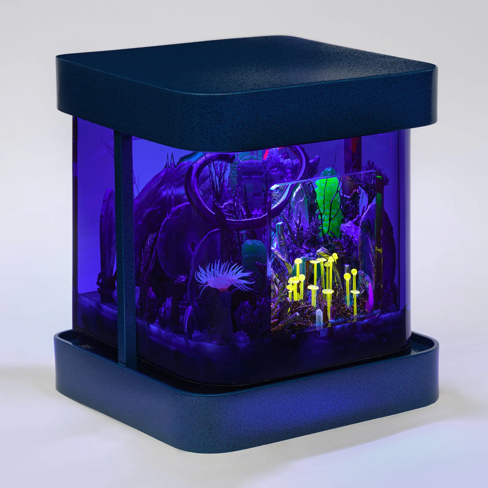 Max Hooper Schneider, SATURN ANAMNESIS, 2024