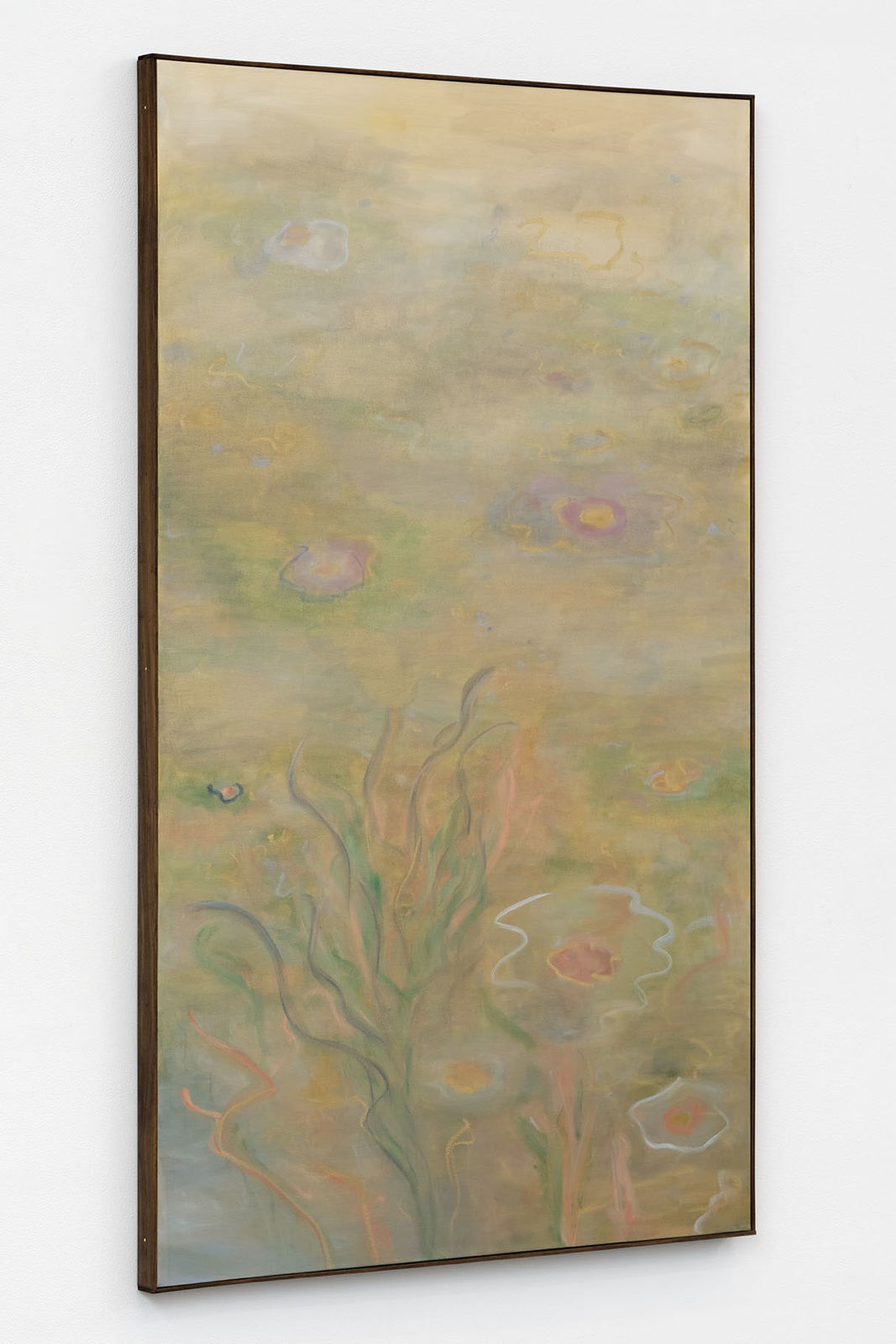 Ash Roberts, Anemone, 2025