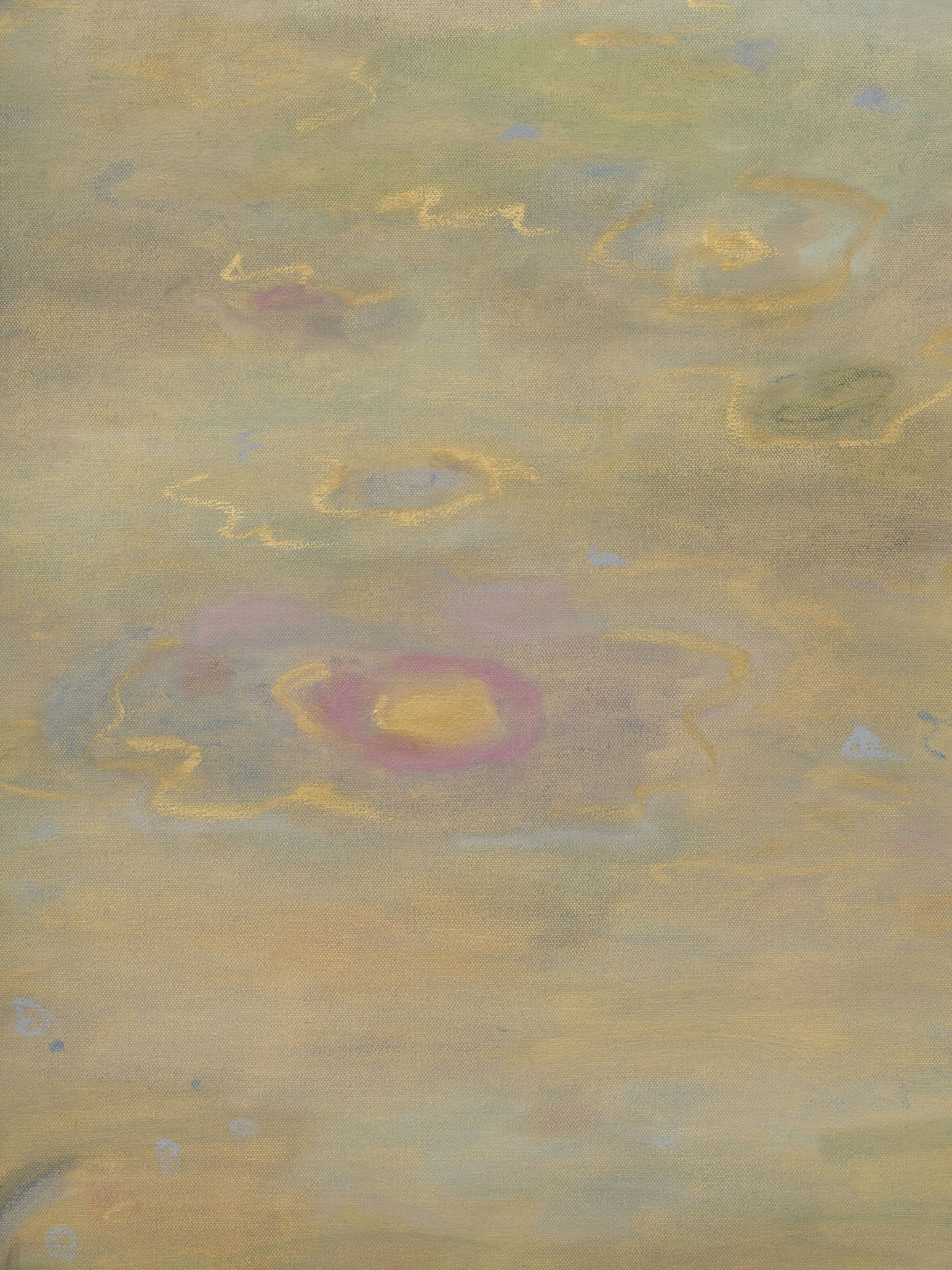 Ash Roberts, Anemone, 2025