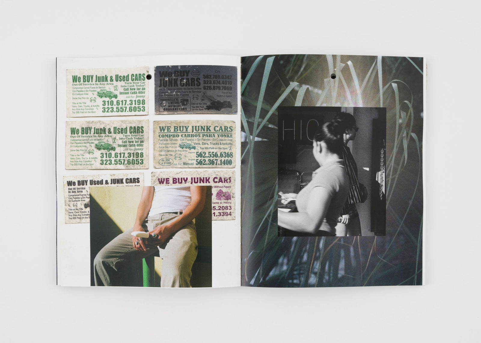 Salim Green, Dark Forest Theory, 2023