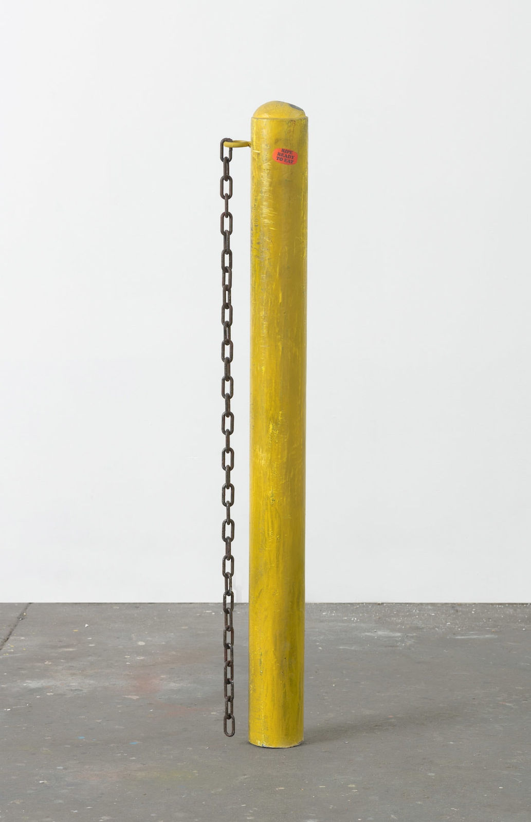 Sayre Gomez, Senior Regional Manager, 2019