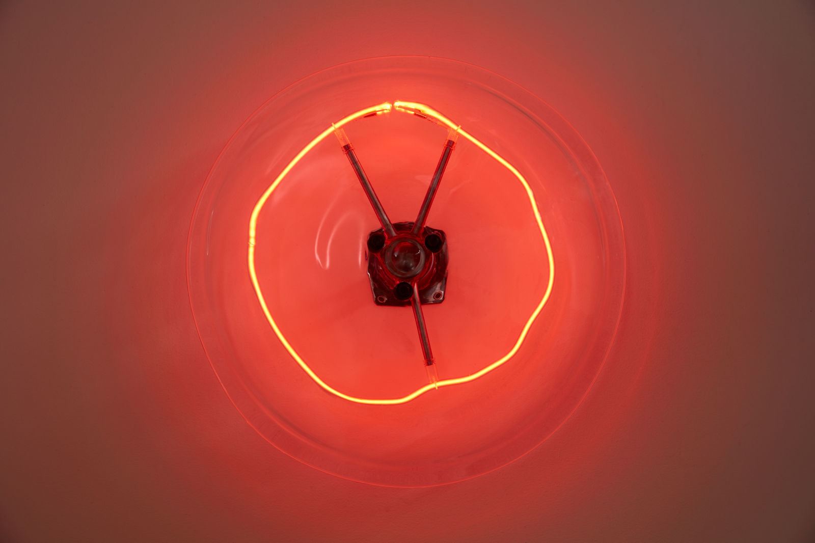 Rindon Johnson & Jordan Loeppky-Kolesnik, Distinguishing among them, an aurora; looking at it through binoculars at days end – a different planet. Areola, behind and in front and then behind again, unintelligible to the nearby human. Areola, a hole, a constant. There’s enough information in [the sound] that, in theory, they could tell each other apart. Like the other day, a blue jay flew into my house looking for food... and then forgot how to get out. It caused a terrifying ruckus flapping around and banging its head into the glass, trying to escape. I grabbed a towel, threw it over the bird, then brought it back outside again., 2021