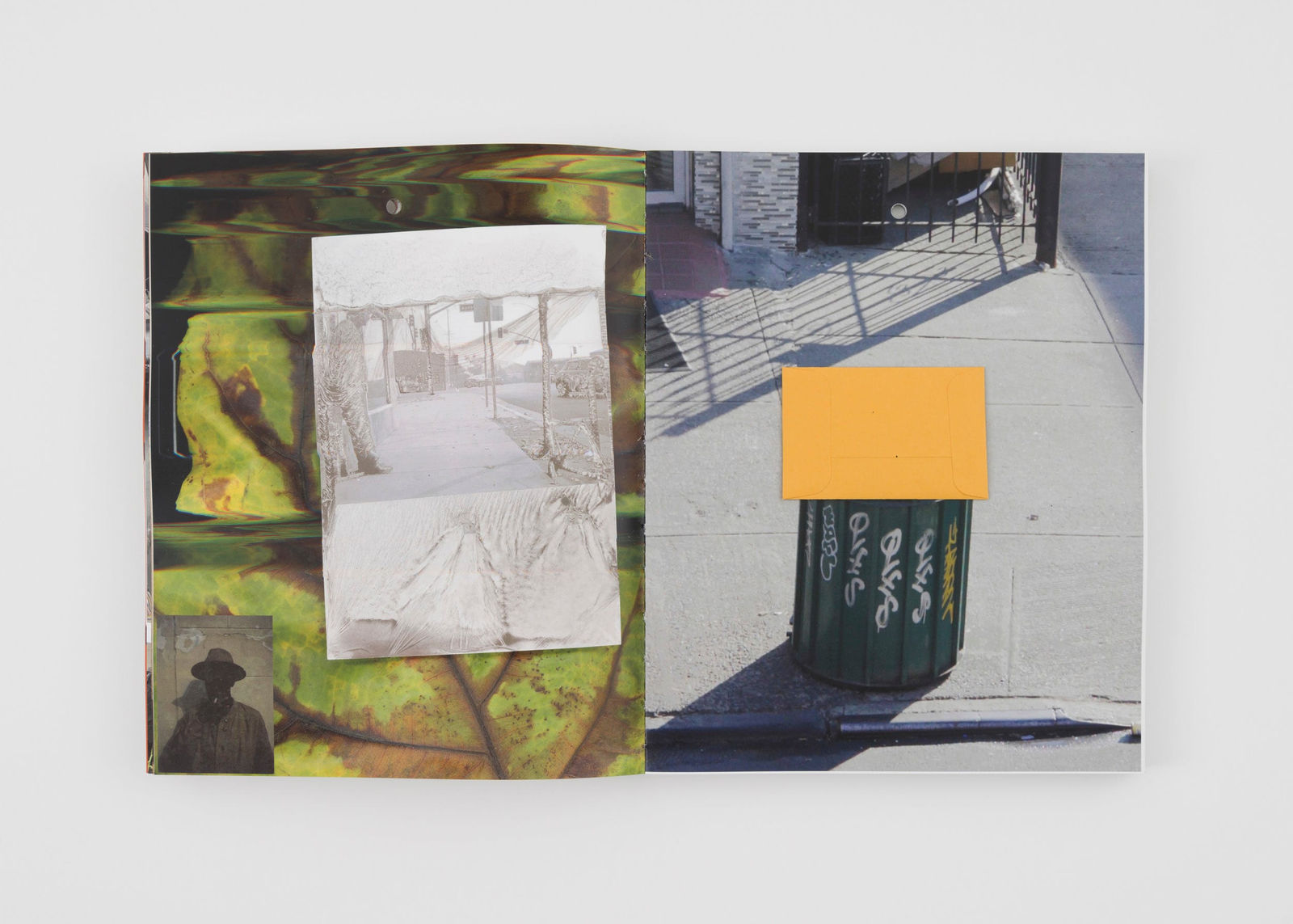 Salim Green, Dark Forest Theory, 2023