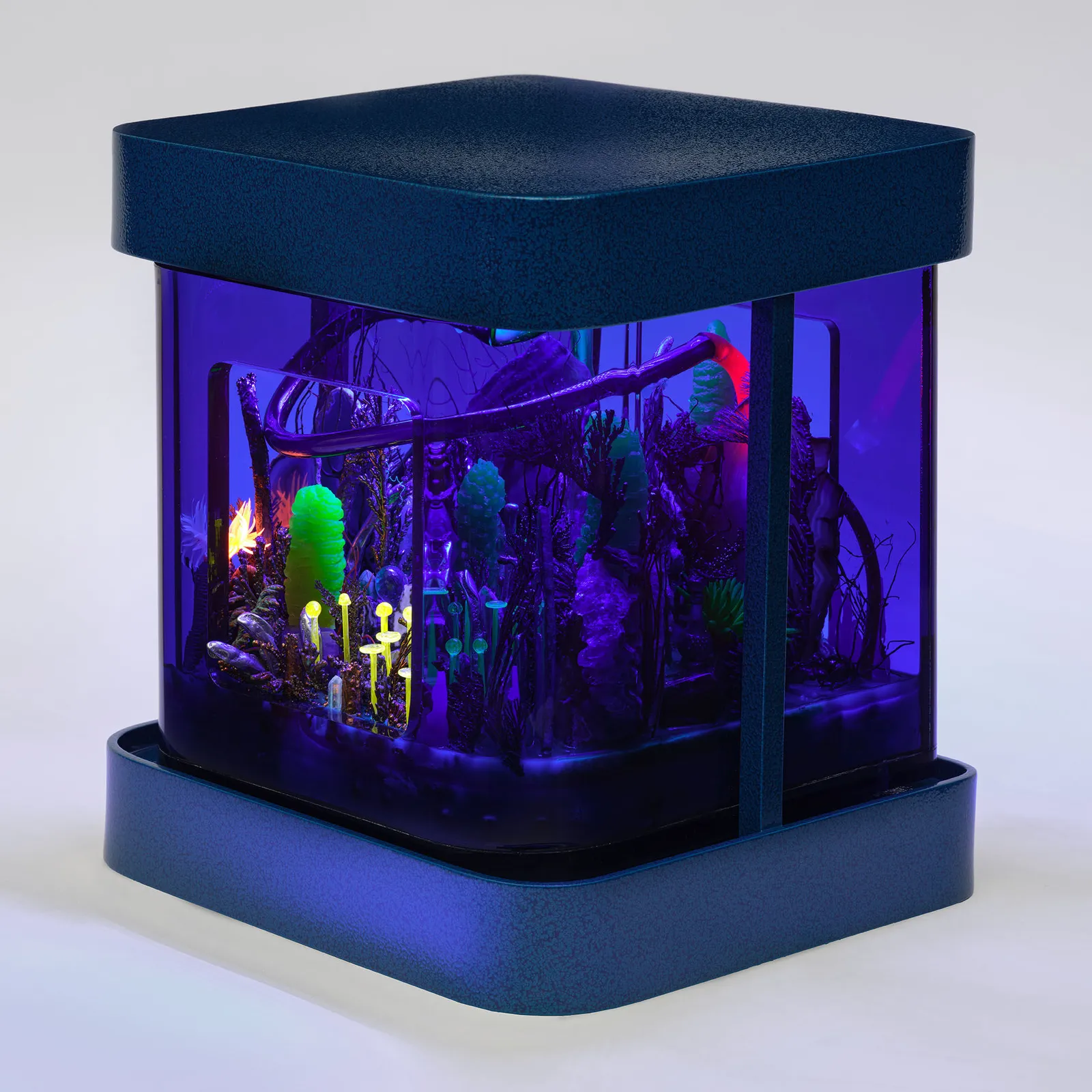 Max Hooper Schneider, SATURN ANAMNESIS, 2024