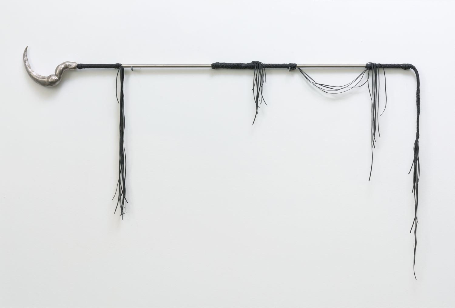 Candice Lin, Coevolution by Traumatic Insemination: Bedbug, 2015