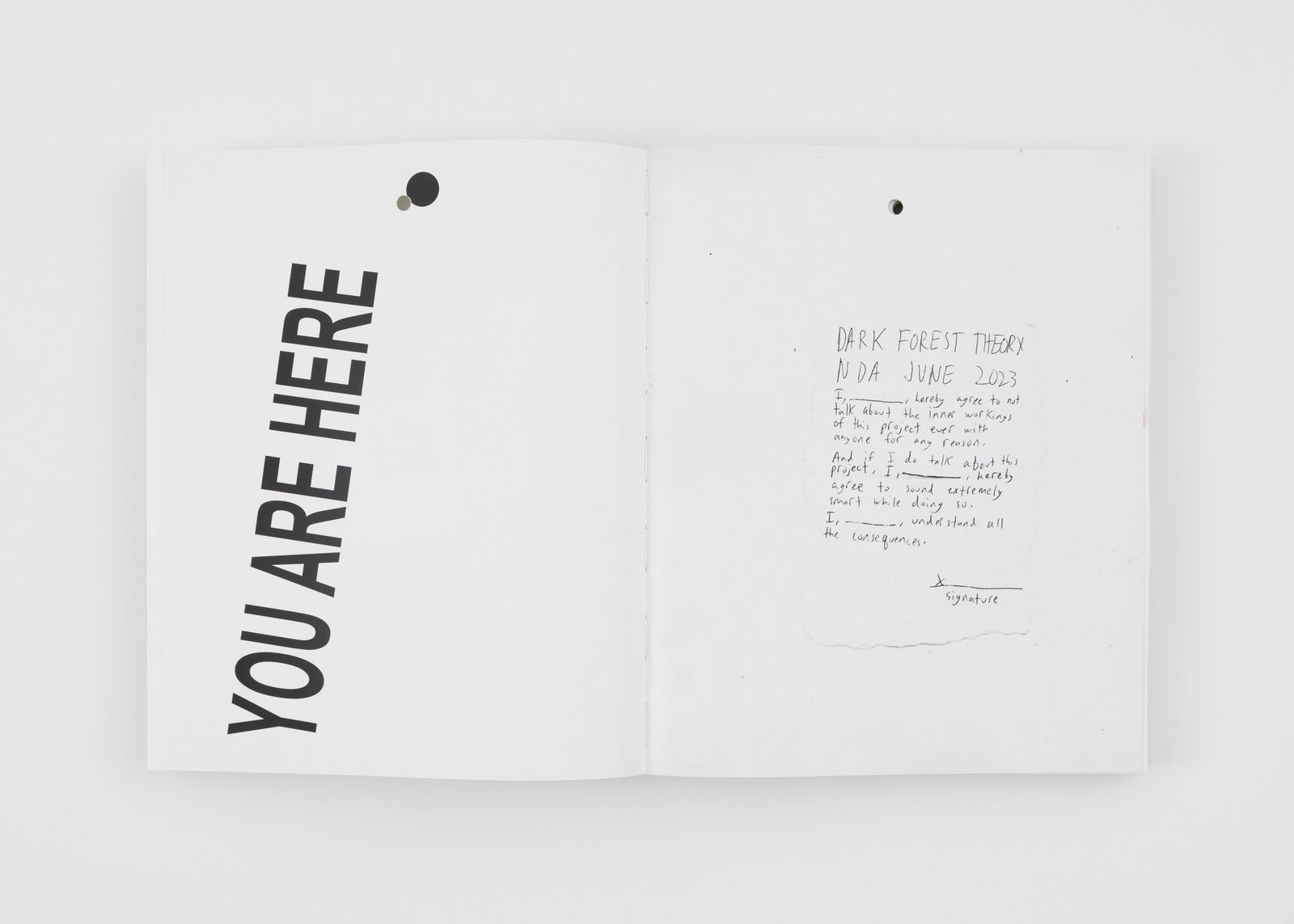 Salim Green, Dark Forest Theory, 2023