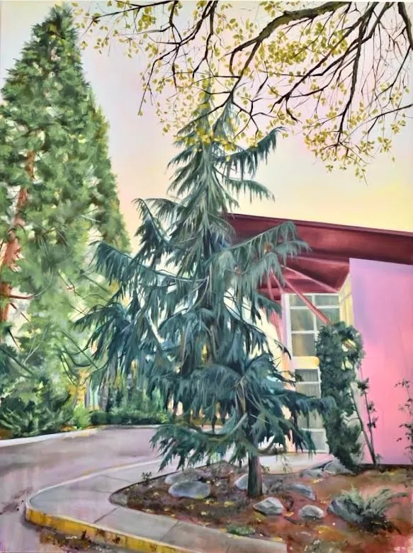 Christopher Friesen, Pink House