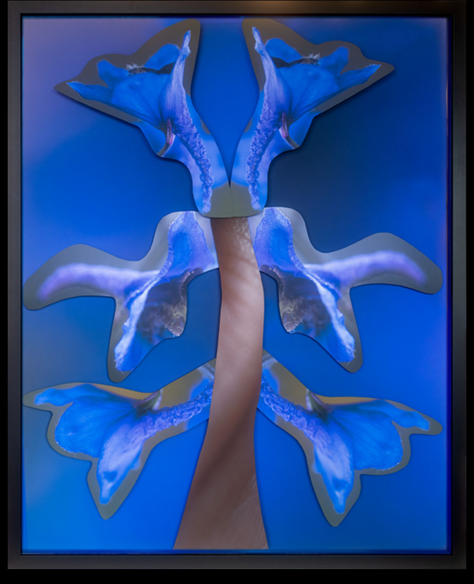 Maria Munar, Brazo en Flor