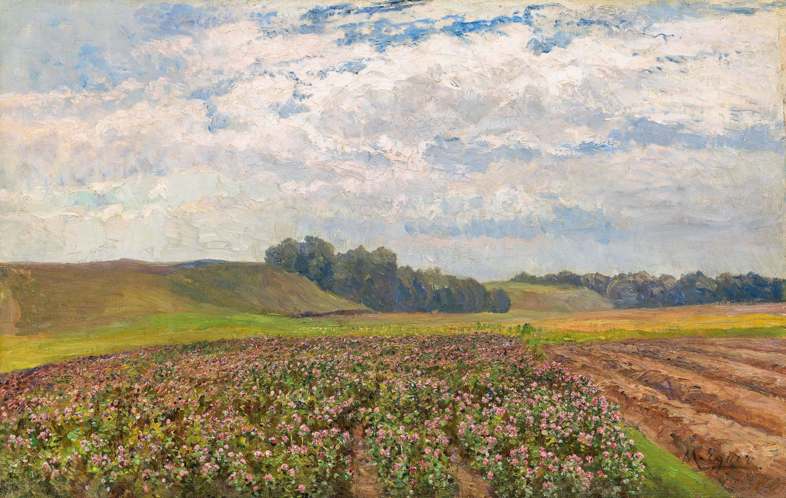 Marie Egner, Blühendes Kartoffelfeld (Motiv aus dem Waldviertel), um 1900