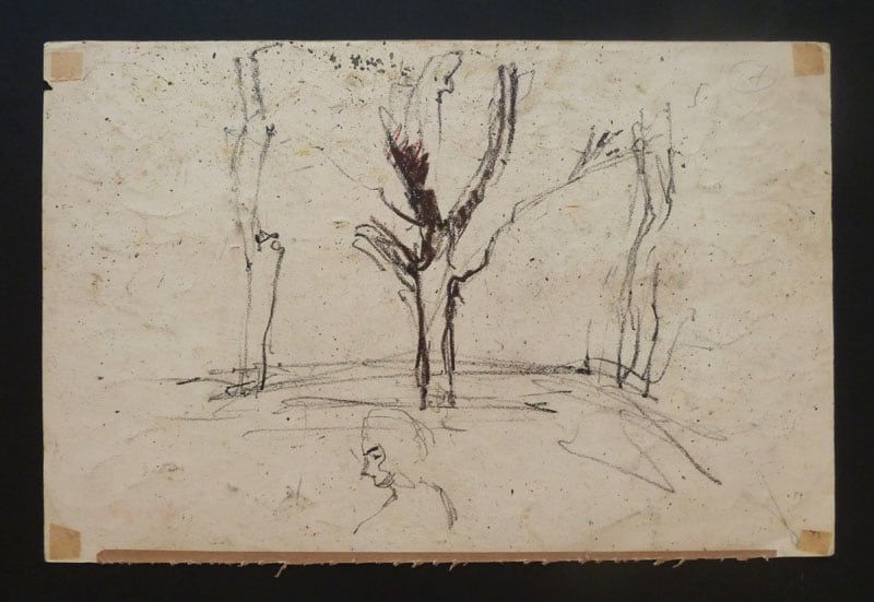 ZYGMUNT SCHRETTER, The Gardener