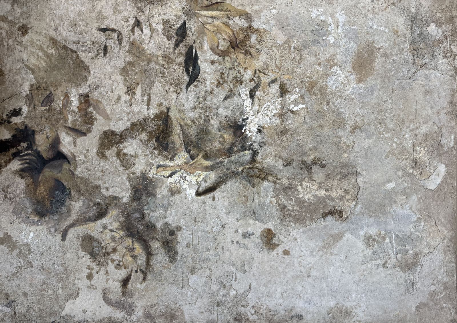 Raine Storey, Vestige, 2026