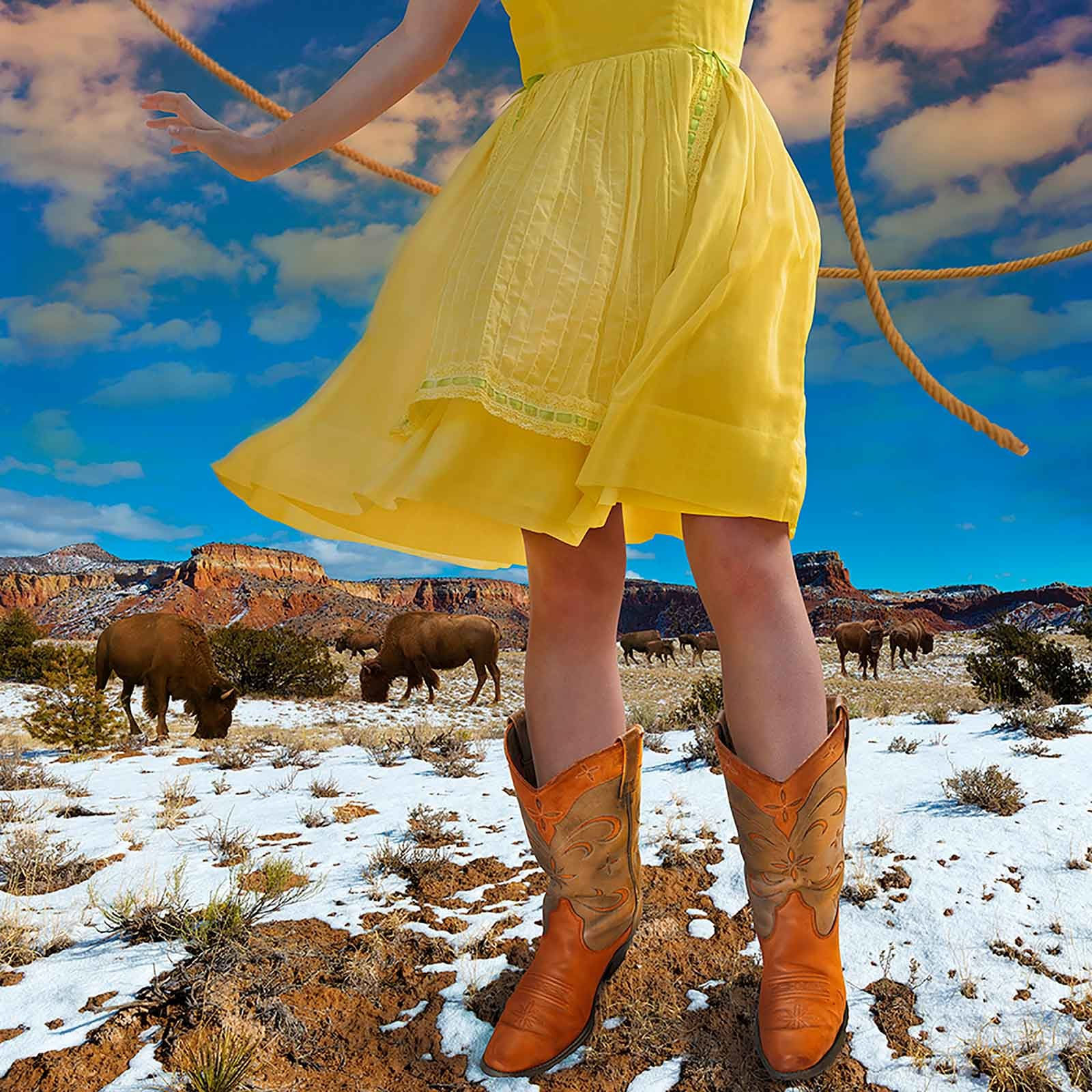 Buffalo gal photograph Tom Chambers cowboy boots blue sky heard of buffalo buy here Gilman Contemporary Sun Valley art gallery ID