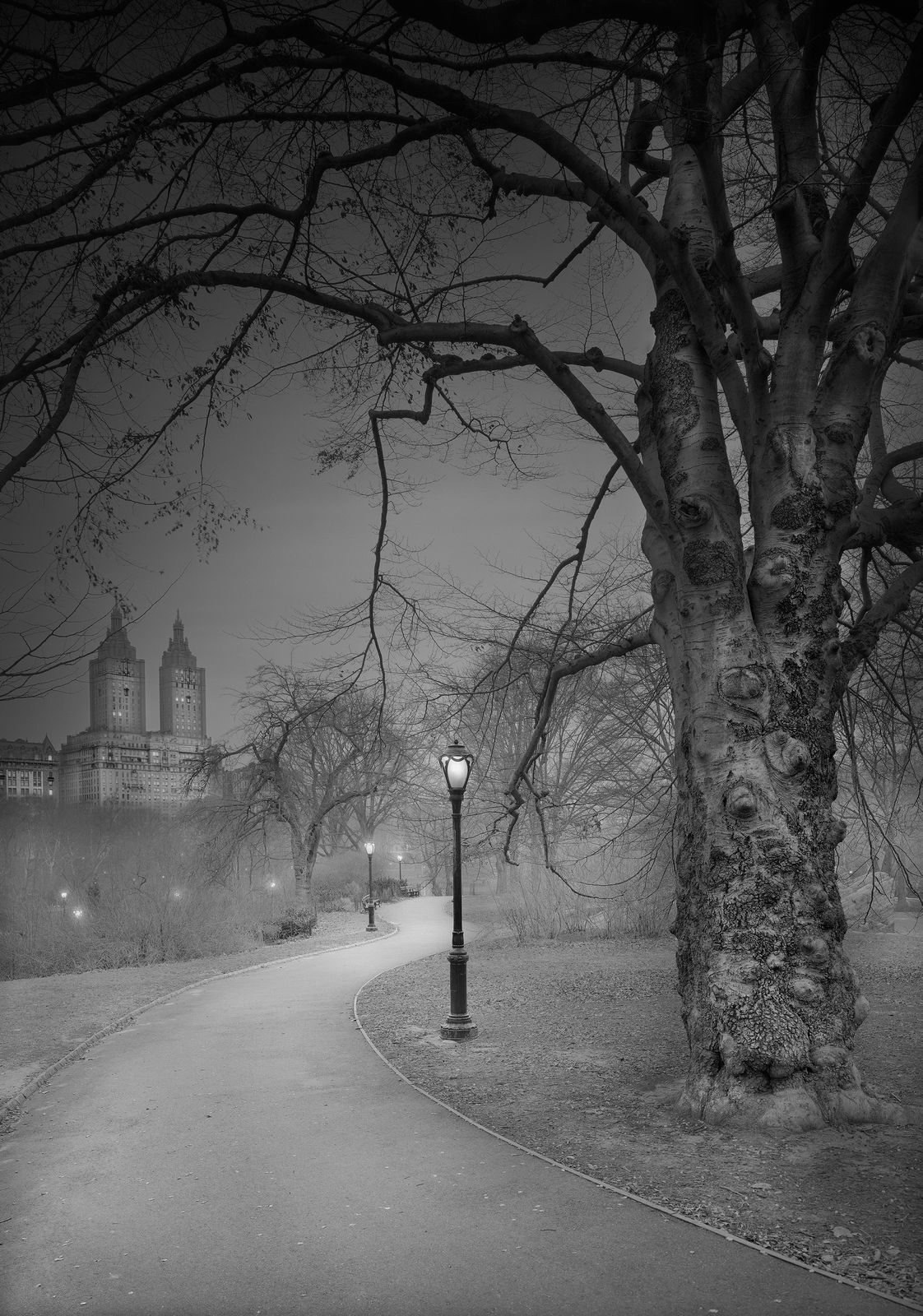 Michael massaia phot with san remo