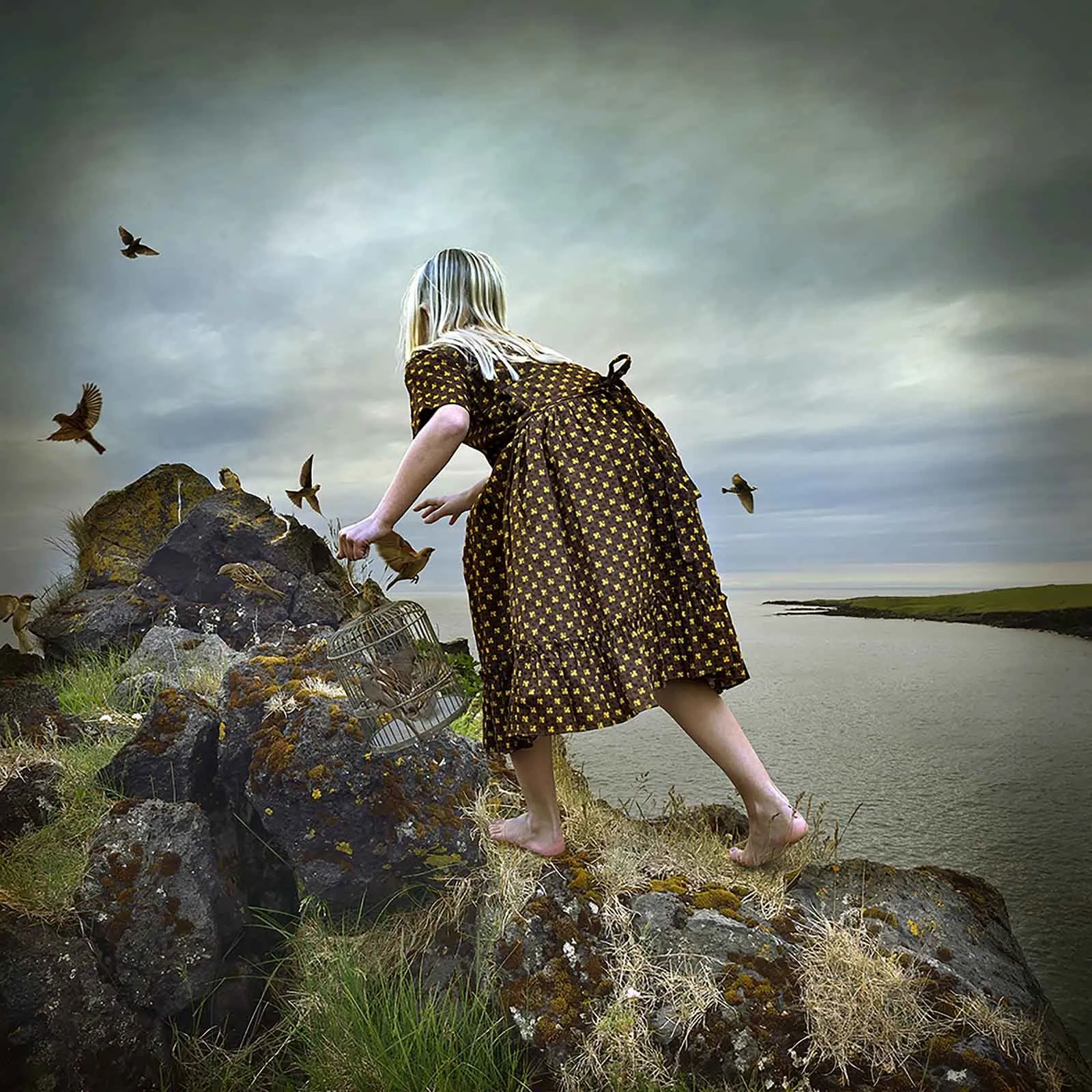 Iceland photography Tom Chambers girl on rocks with birds buy here Gilman Contemporary Sun valley art gallery