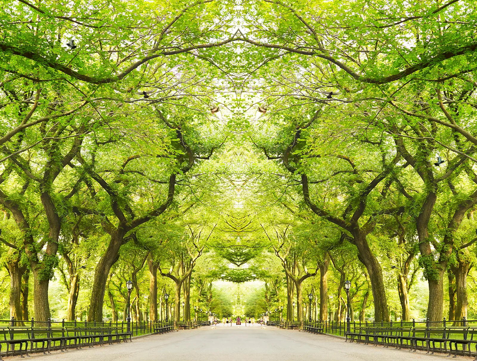 Laurie Victor Kay Central Park photo