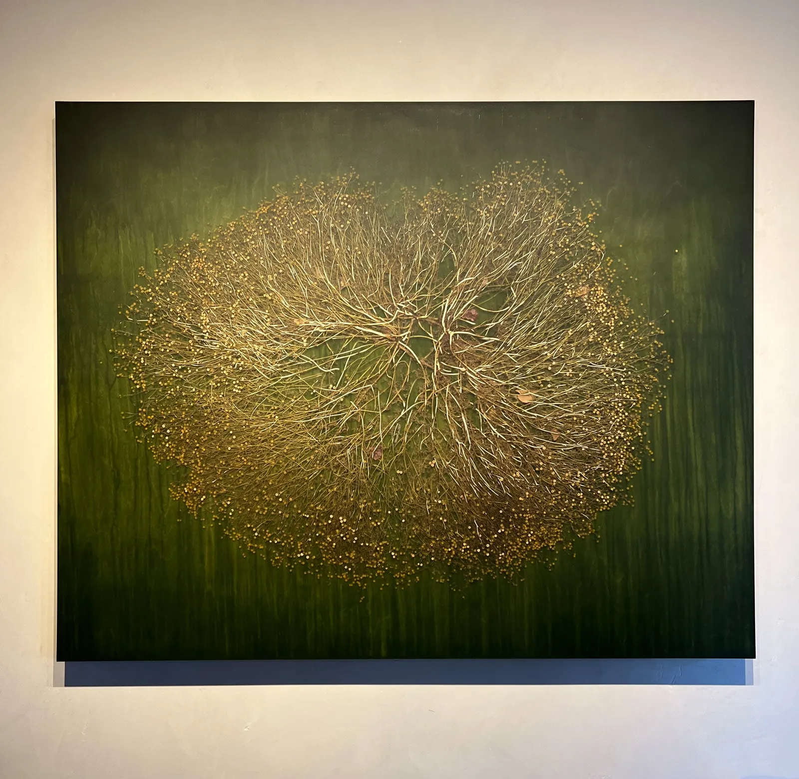 mayme kratz arizona artist natural elements inside resin on panel dark green at gilman contemporary