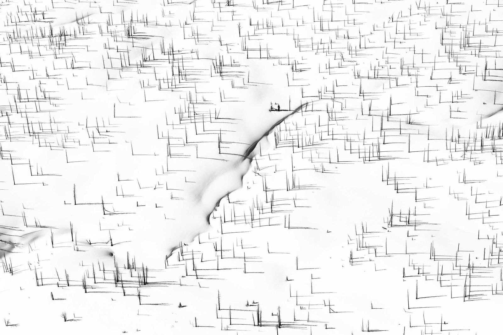 Tuck Fauntleroy photographs Yellowstone National Park buy images here Gilman Contemporary