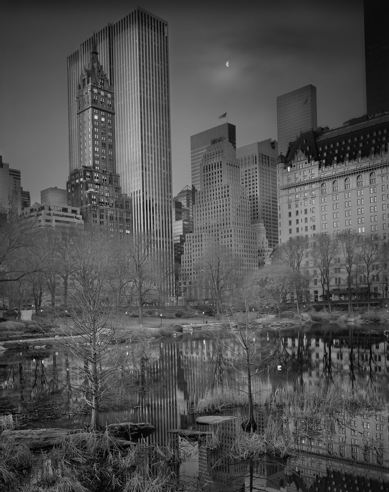 half moon over new york city from central park by michael massaia