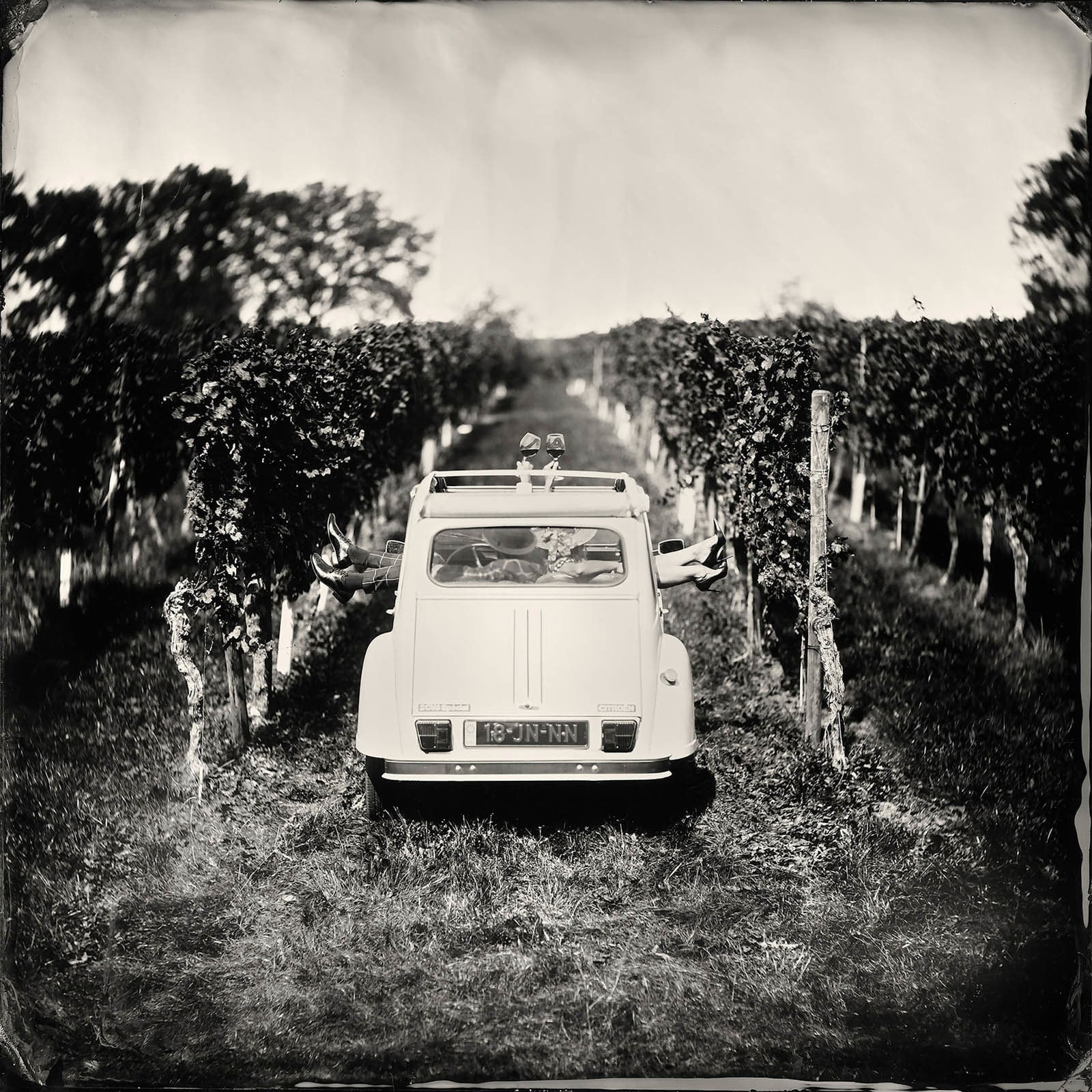Alex Timmermans photograph Joie de Vivre buy here Gilman Contemporary Sun Valley art gallery