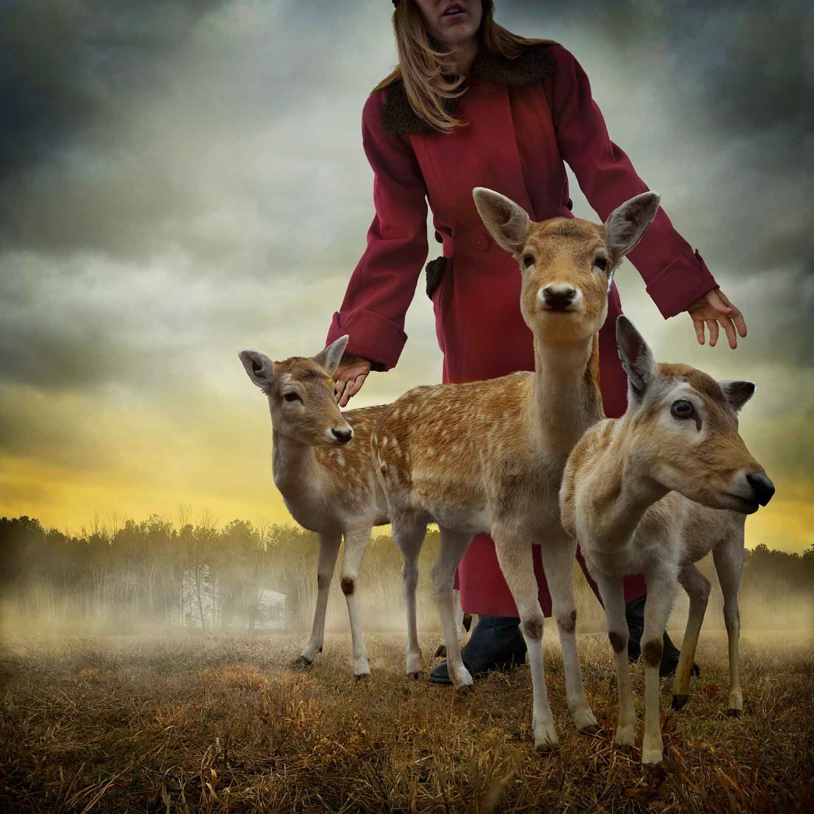 Tom Chambers girl guiding 3 fawns purchase here Gilman gallery Sun Valley contemporary art