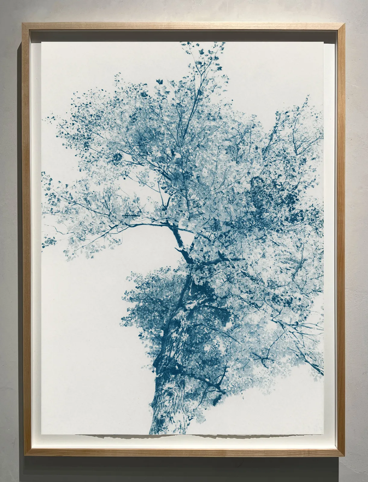 Modern Cyanotype, Dora Somosi, NY artist, Gilman Contemporary