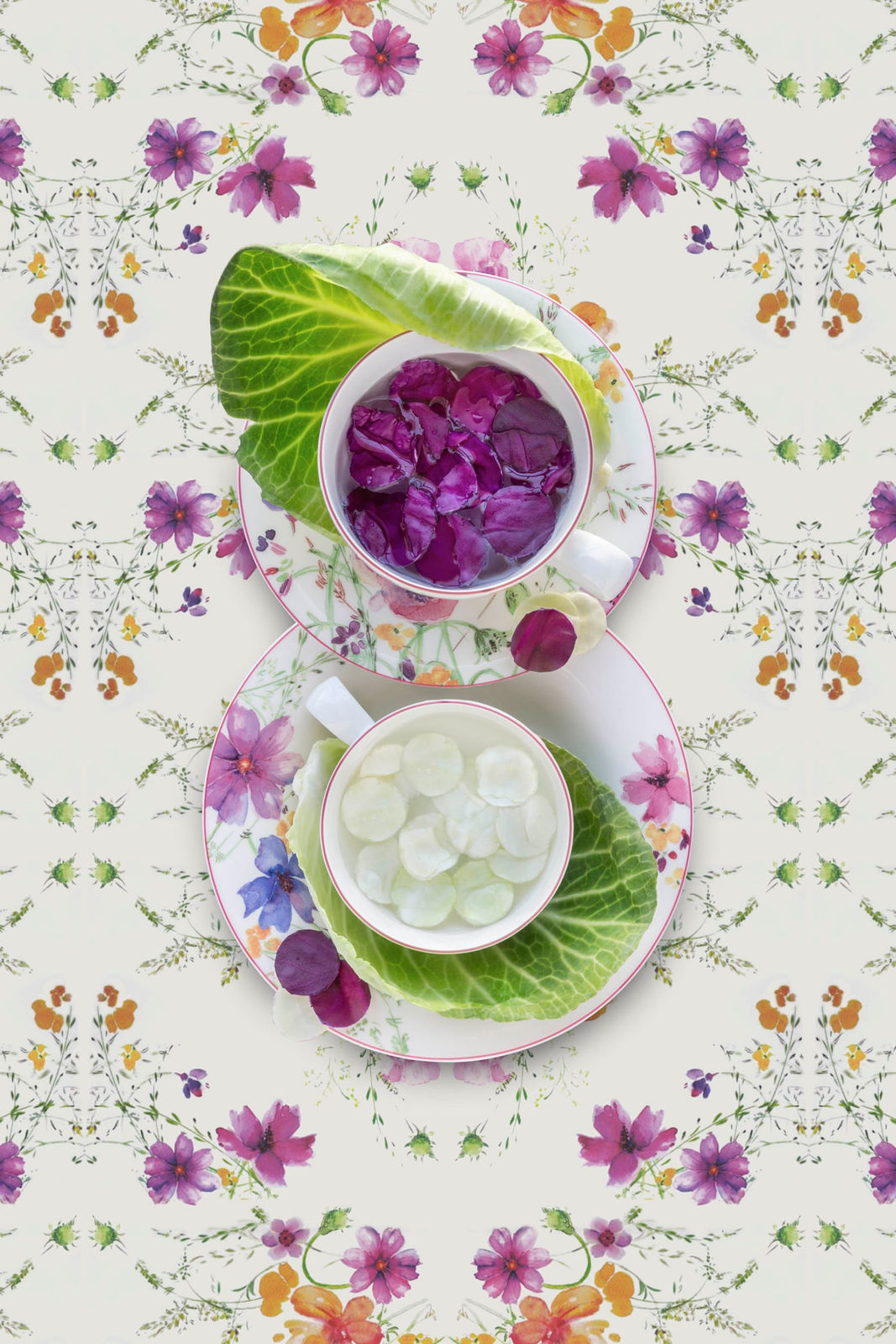 cabbage on purple patterned dishes rjp terlizzi
