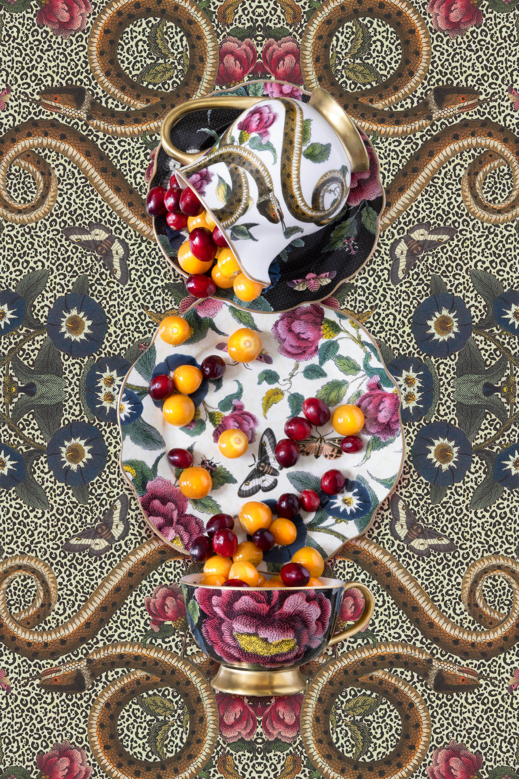 Spode Creatures of Curiosity photograph by JP Terlizzi buy framed art