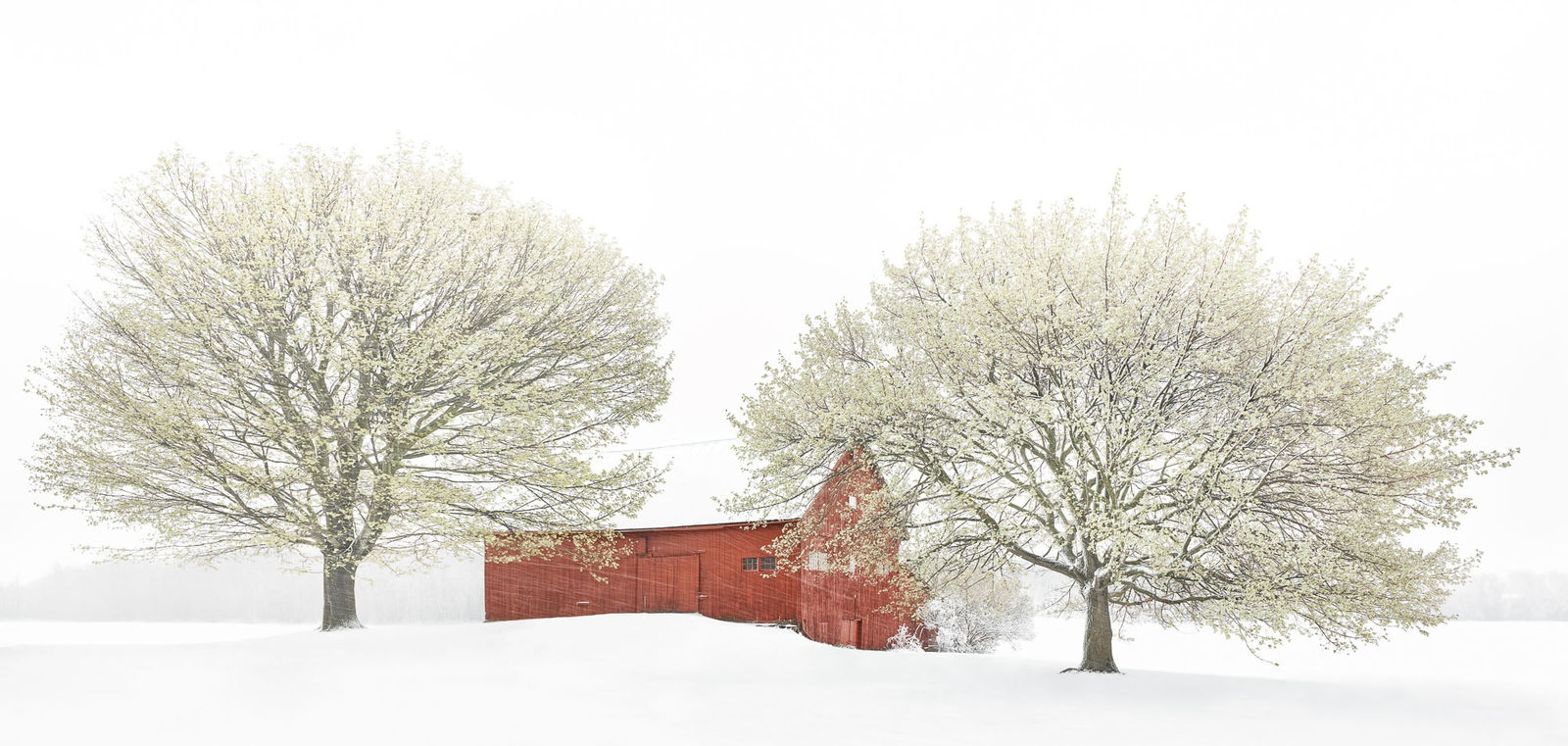 Jim Westphalen, Archival pigment print, Gilman Contemporary Gallery, Photography