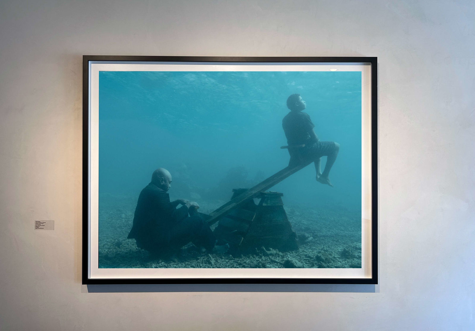 framed see saw underwater Nick Brandt photograph in figi