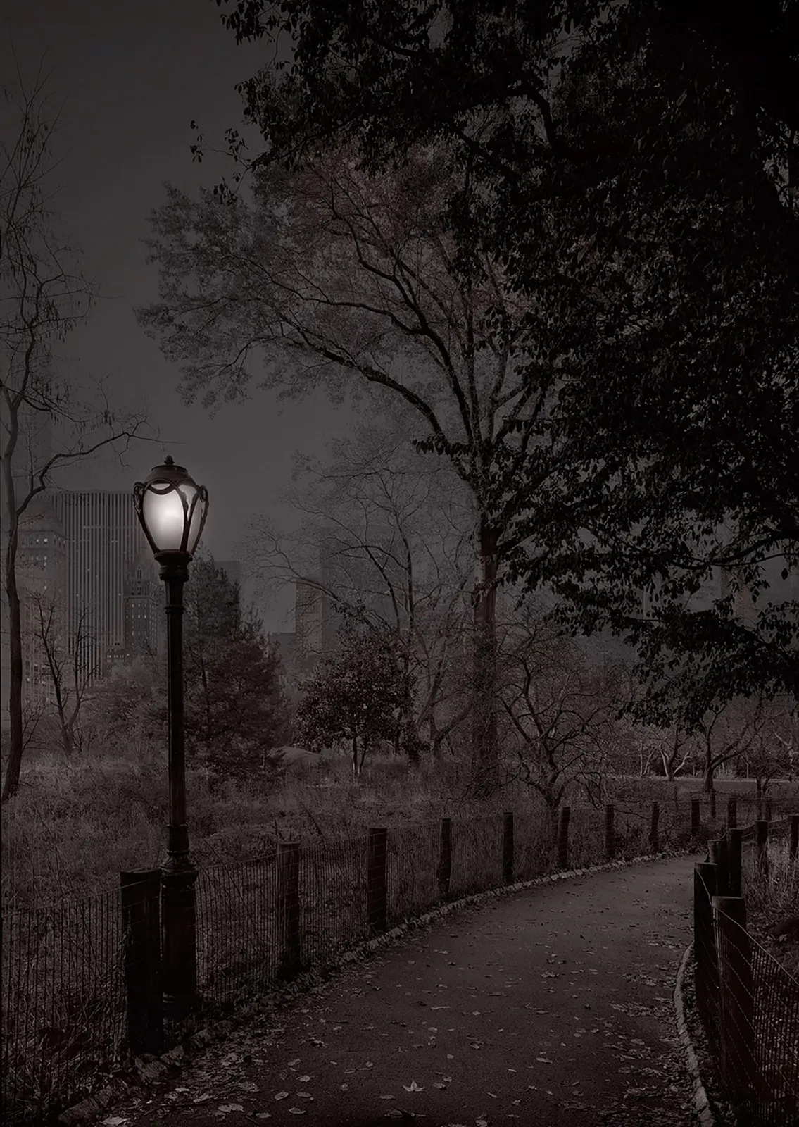 glowing lamp on walkway in the park by michael massaia