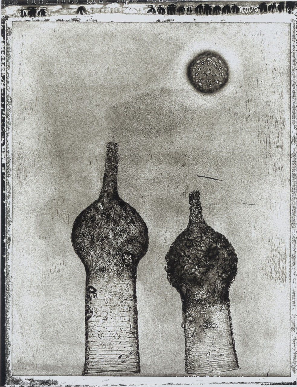 Handmade platinum print of Life on Earth by Jan C Schlegel