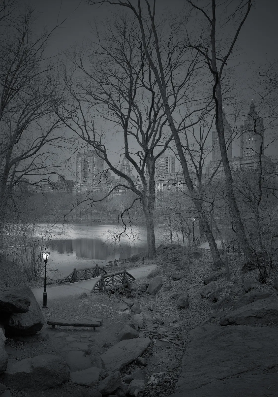 pond in the park in New york city photo