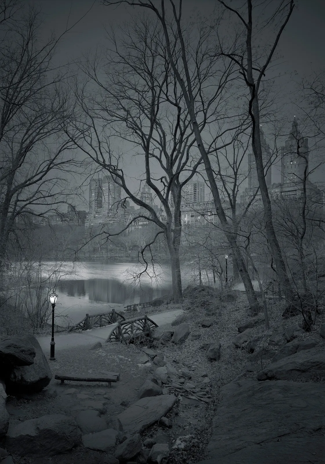 pond in the park in New york city photo