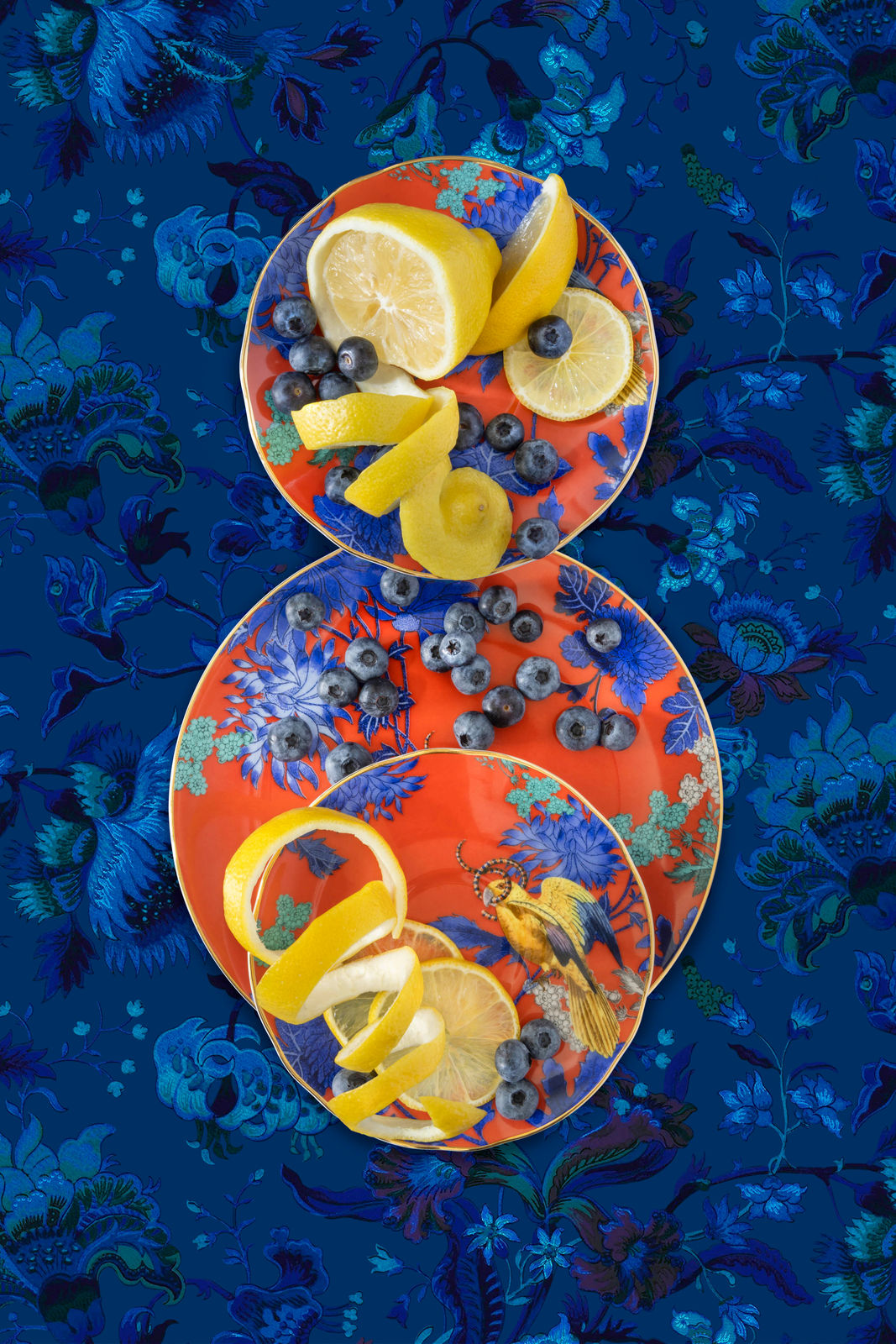 Buy JP Terlizzi photograph Wegdewood Golden Parrot with Blueberry Lemons