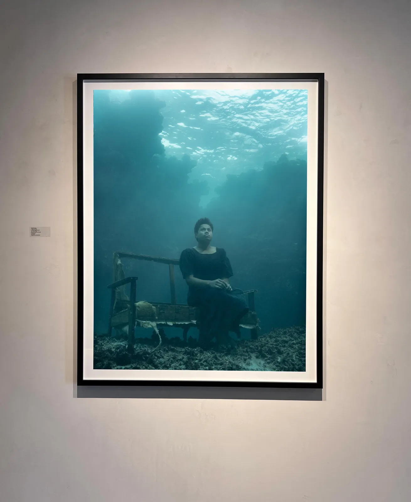 Framed nick brandt large scale underwater photograph figi purchase gilman Contemporary