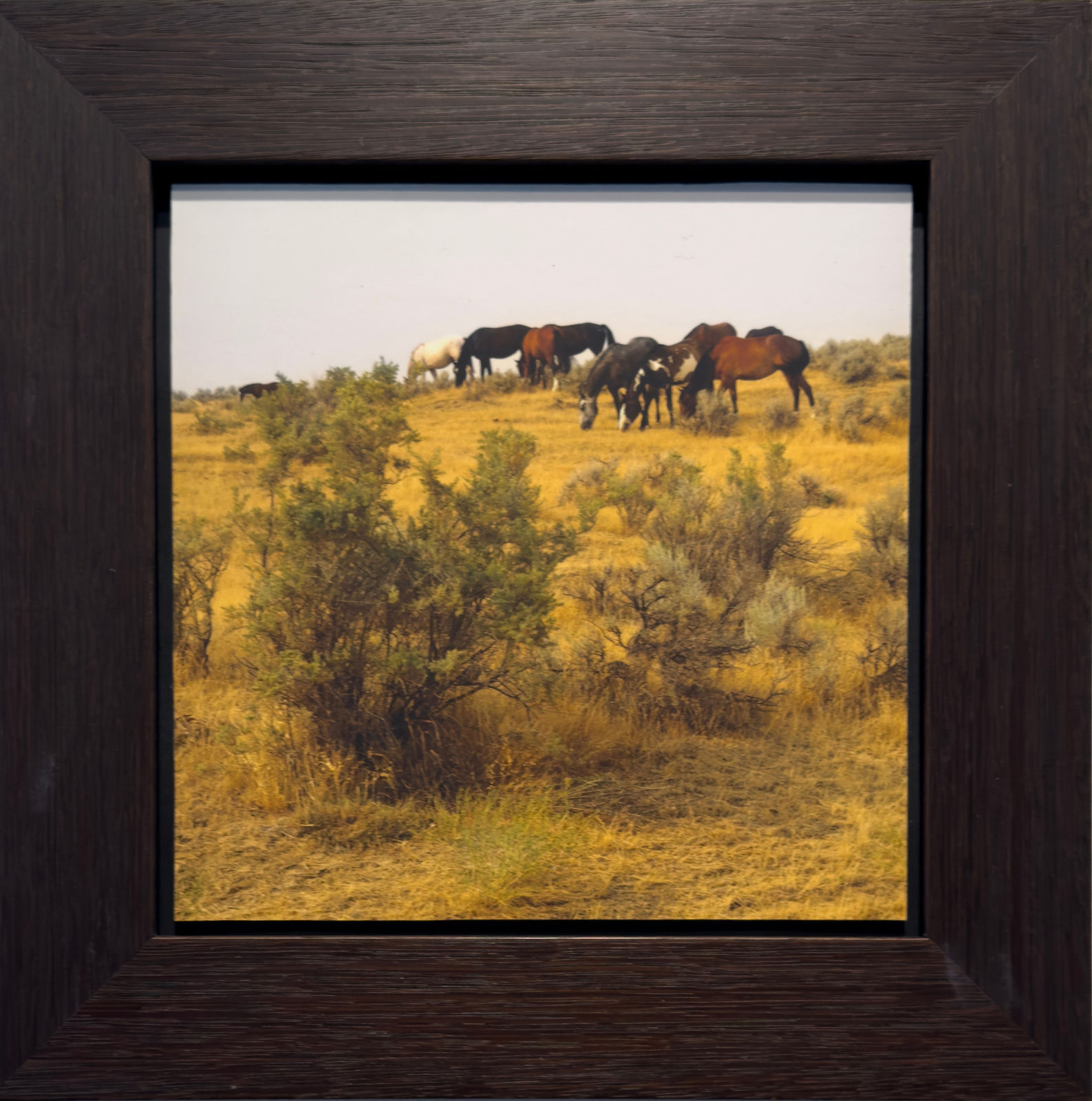 Tom Chambers Archival pigment print gilman contmeporary