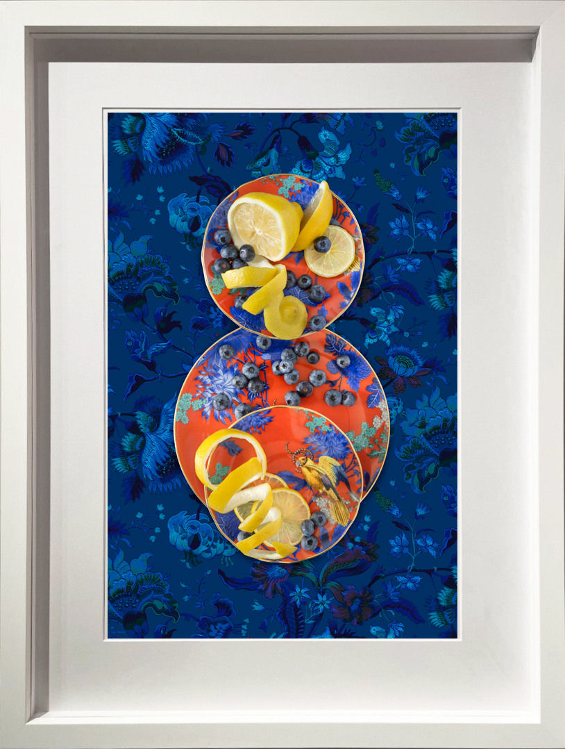 JP Terlizzi photographs buy here Creatures of Curiosity