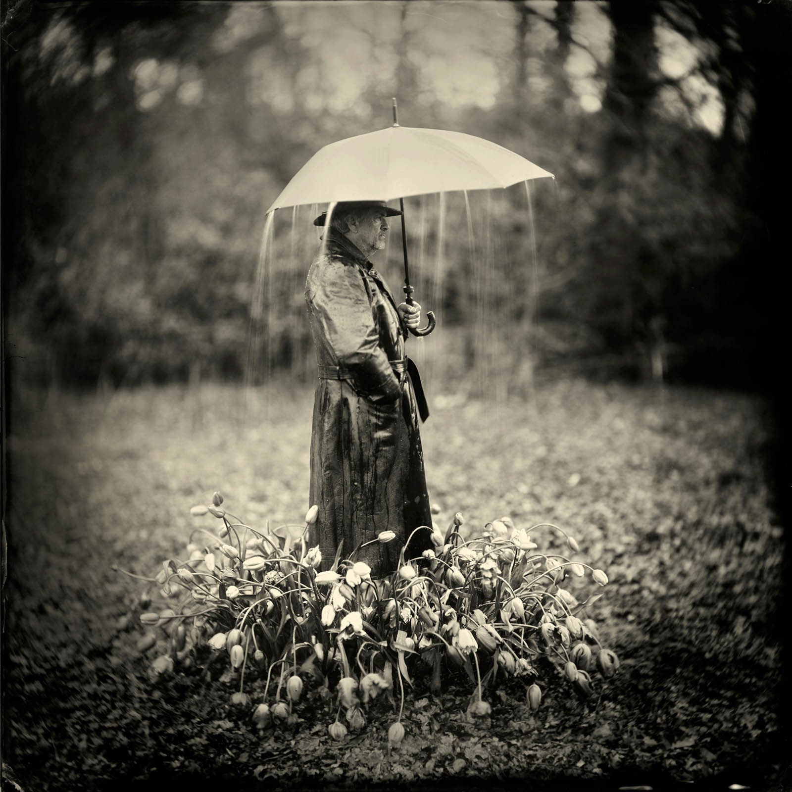 Alex Timmermans photography buy here Sun Valley art gallery Gilman Contemporary