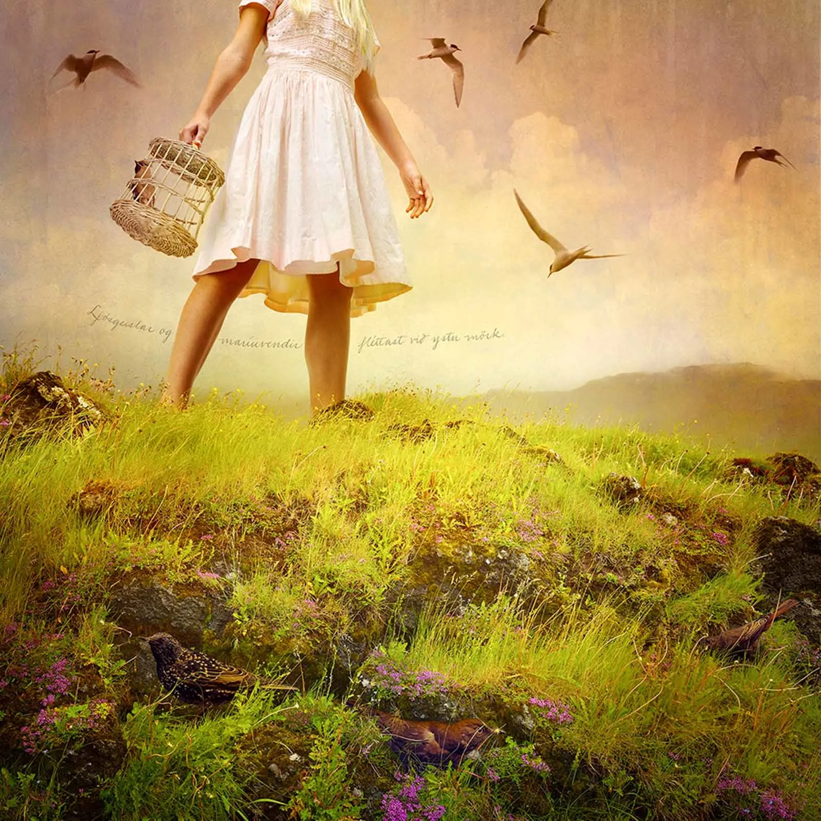 Fowl Play Tom Chambers photograph girl in lush Icelandic field with birds flying around Sun Valley art gallery Gilman Contemporary