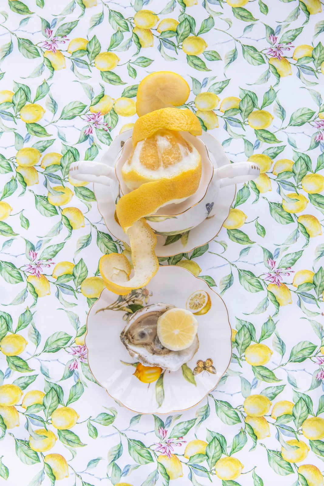 lemon and lemon peel displayed on pattern dishes by jp terlizzi