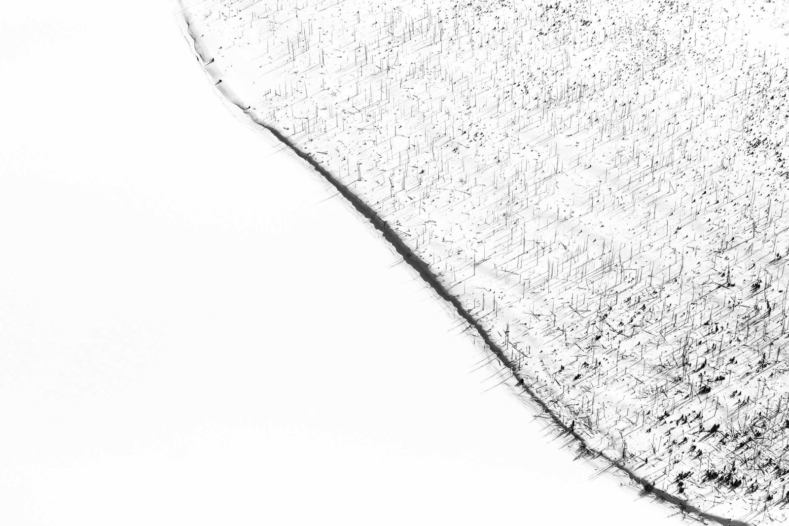 Yellowstone National Park photography by Tuck Fauntleroy Burn series buy here Sun Valley contemporary art Gilman gallery